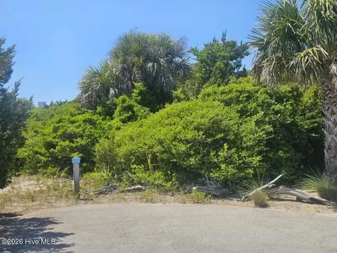 26 Black Skimmer Trail Bald Head Island NC 28461