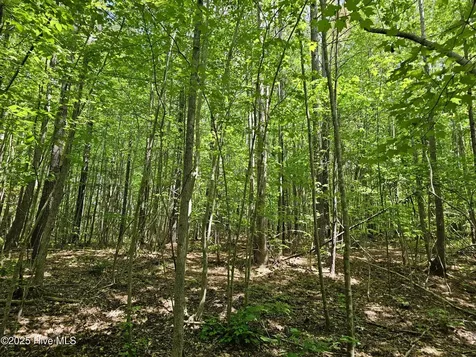 00 Alert Road Warrenton NC 27589