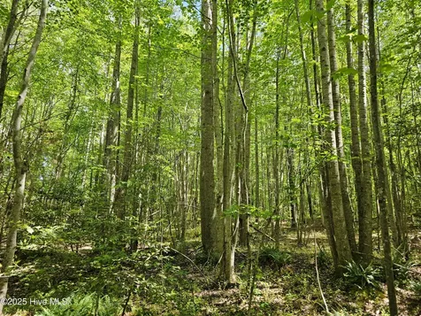00 Alert Road Warrenton NC 27589