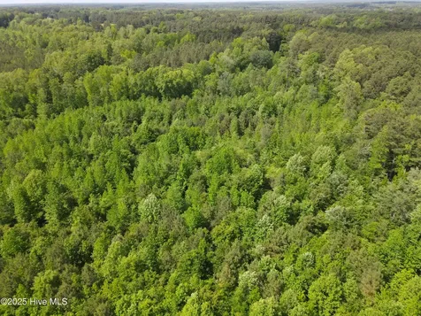 00 Alert Road Warrenton NC 27589