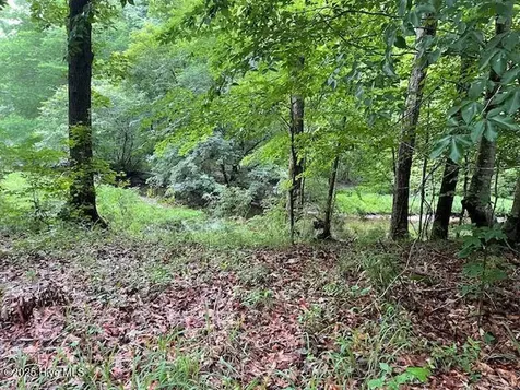 62 Live Oak Drive Elizabethtown NC 28337