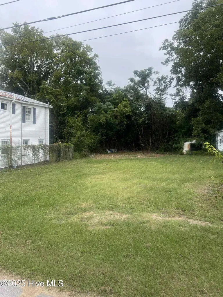 1006 Williams Street New Bern NC 28560