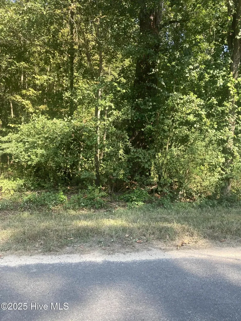 Tbd Cedar Lane Laurinburg NC 28352