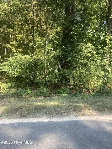 Tbd Cedar Lane Laurinburg NC 28352
