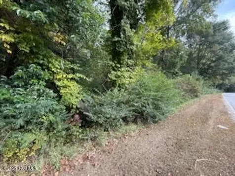 2 Galestown Road Rockingham NC 28379