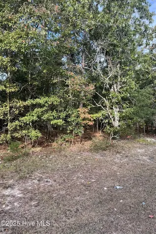 3 Greenlake Road Ellerbe NC 28338