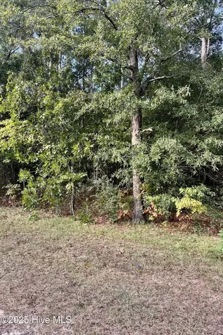 3 Greenlake Road Ellerbe NC 28338