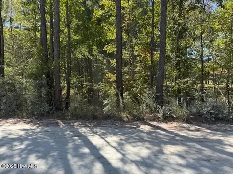1067 River Road Tabor City NC 28463