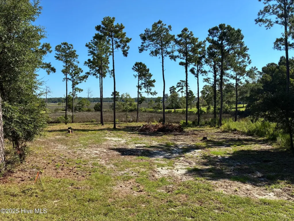 2440 Crape Myrtle Court SW Supply NC 28462