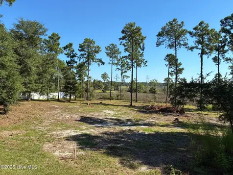 2440 Crape Myrtle Court SW Supply NC 28462