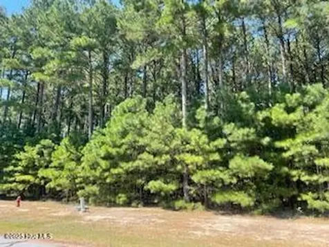 449 Riversound Drive Edenton NC 27932