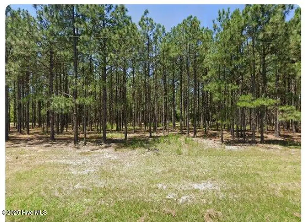 1890 Flowers Road Jackson Springs NC 27281