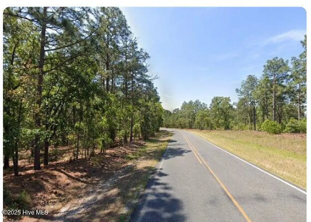 Lot 9 Flowers Road Jackson Springs NC 27281