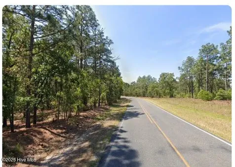 Lot 9 Flowers Road Jackson Springs NC 27281