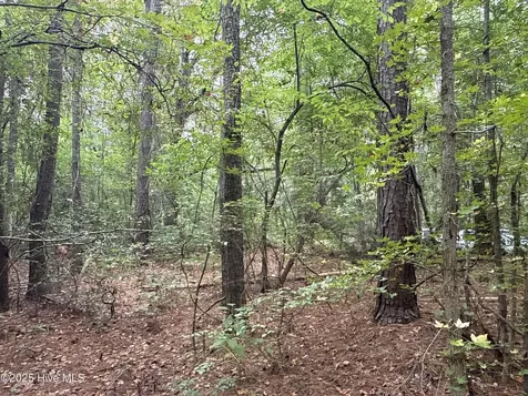 0 Creekmur Road Edward NC 27821