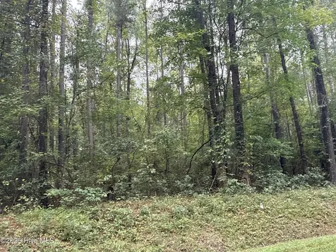 0 Creekmur Road Edward NC 27821
