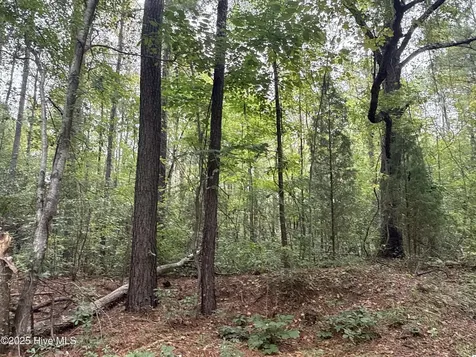 0 Creekmur Road Edward NC 27821