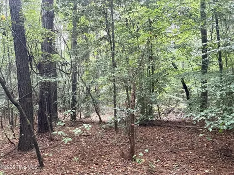 0 Creekmur Road Edward NC 27821