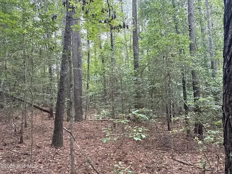 0 Creekmur Road Edward NC 27821