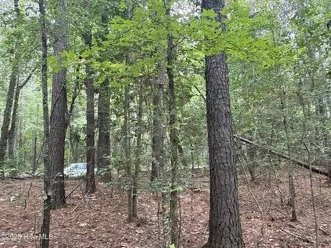 0 Creekmur Road Edward NC 27821