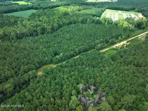 0 Doc Brown Road Rose Hill NC 27458