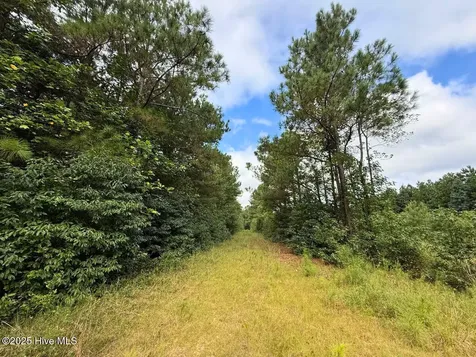 0 Doc Brown Road Rose Hill NC 27458