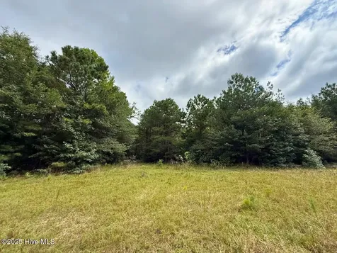 0 Doc Brown Road Rose Hill NC 27458