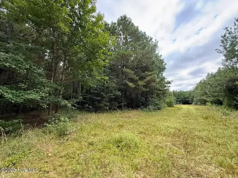 0 Doc Brown Road Rose Hill NC 27458