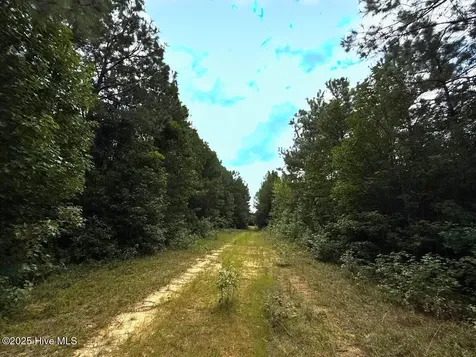 0 Doc Brown Road Rose Hill NC 27458