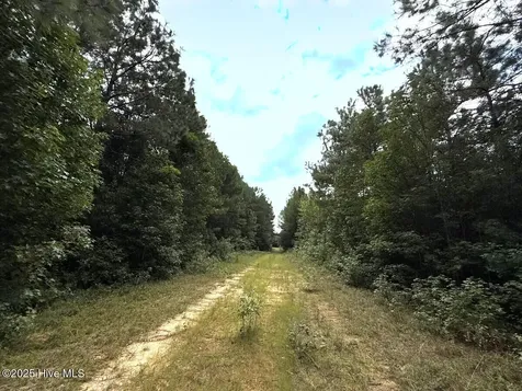 0 Doc Brown Road Rose Hill NC 27458