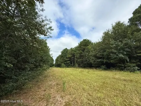 0 Doc Brown Road Rose Hill NC 27458