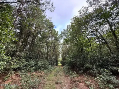 0 Doc Brown Road Rose Hill NC 27458
