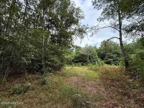 0 Doc Brown Road Rose Hill NC 27458