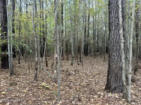 Lot 95-77 Crocker Hill Road Elizabeth City NC 27909