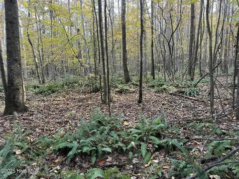 Lot 95-77 Crocker Hill Road Elizabeth City NC 27909
