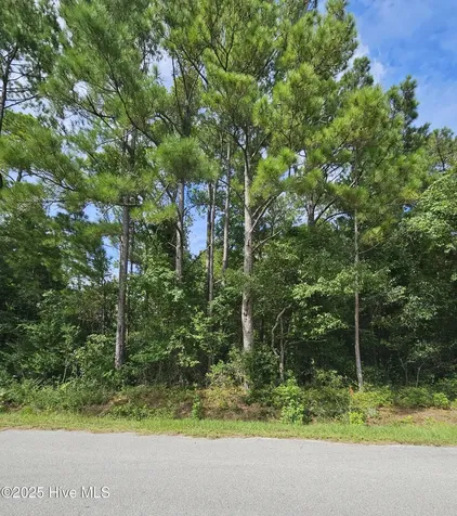 9001 Wilmington Highway Holly Ridge NC 28445