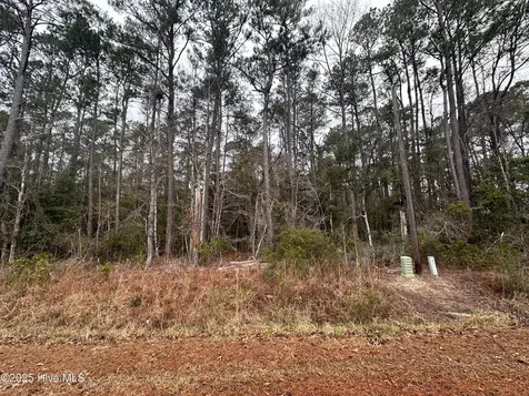 151 Dogwood Trail SW Supply NC 28462