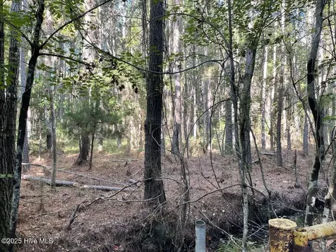 400 4 H Road Beaufort NC 28516