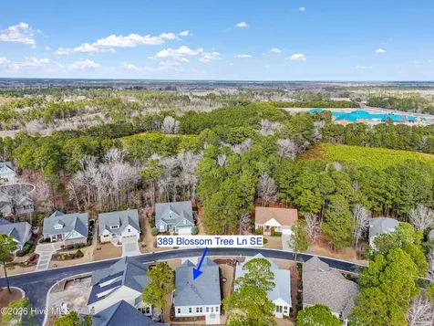 389 Blossom Tree Lane SE Bolivia NC 28422
