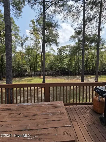 708 Albert Beatty Lane Harrells NC 28444