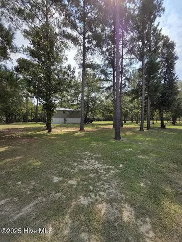 708 Albert Beatty Lane Harrells NC 28444