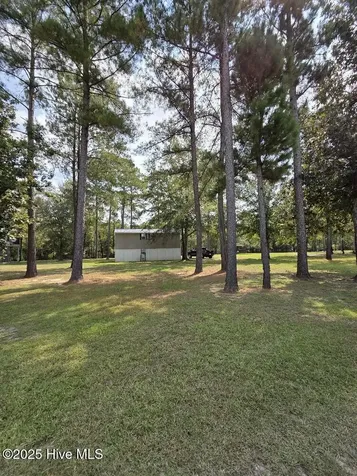 708 Albert Beatty Lane Harrells NC 28444