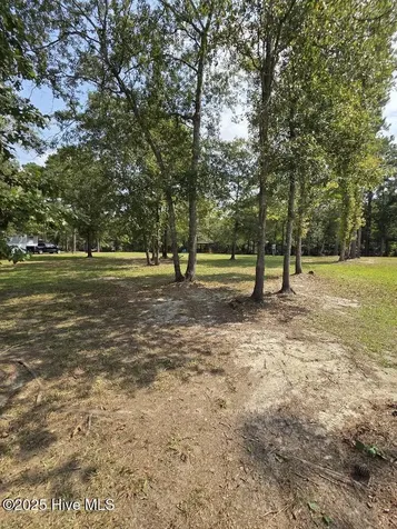708 Albert Beatty Lane Harrells NC 28444