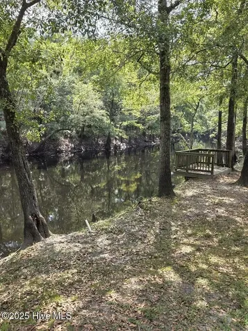 708 Albert Beatty Lane Harrells NC 28444