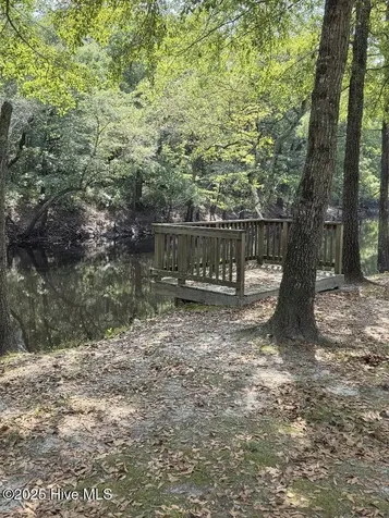 708 Albert Beatty Lane Harrells NC 28444