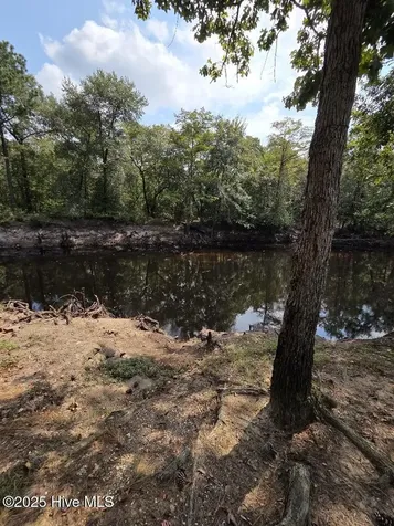 708 Albert Beatty Lane Harrells NC 28444