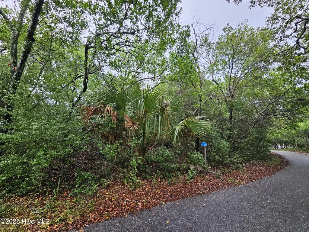 109 Kitty Hawk Way Bald Head Island NC 28461