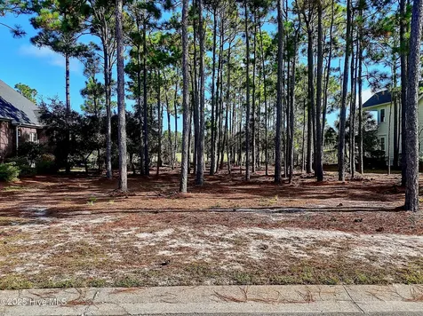 3158 Moss Hammock Wynd Southport NC 28461