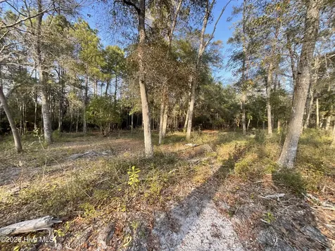 3372 Stone Crab Court SW Supply NC 28462