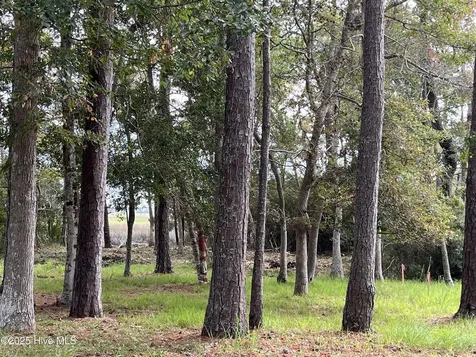 3263 Marsh View Drive SW Supply NC 28462